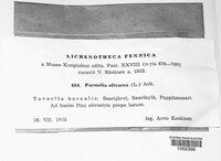 Image Associated With the Occurence